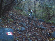 02 sentiero nel bosco